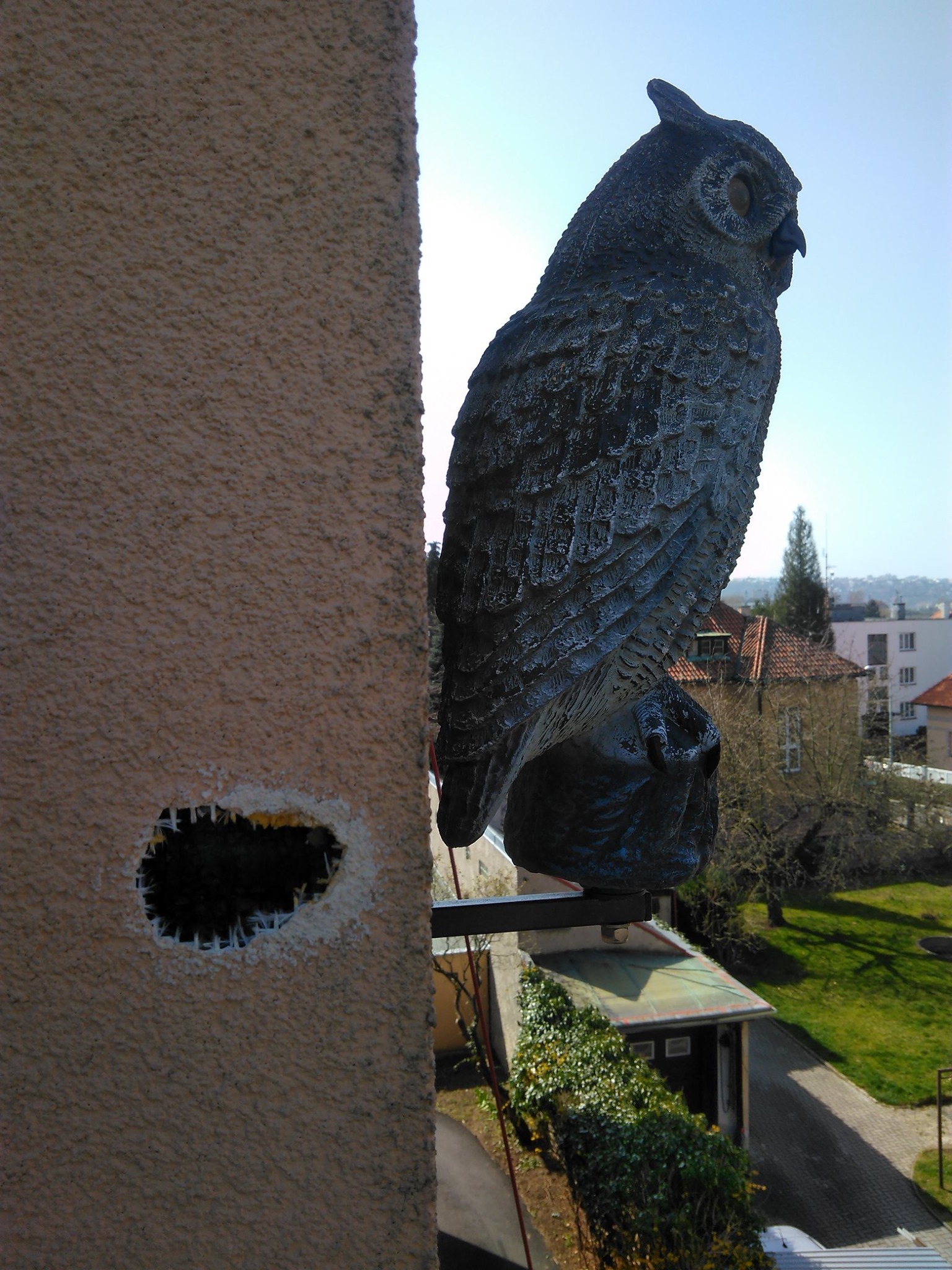 Obrázek u příspěvku číslo 1