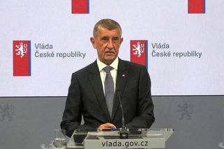Není členem vlády. Babiš před novináři zpražil Turka - Novinky