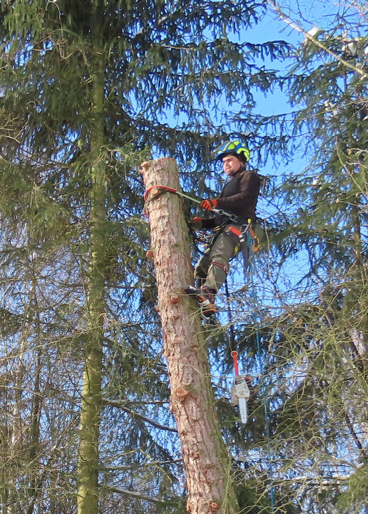 Obrázek u příspěvku číslo 1