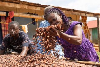 Zásobují svět kakaem na čokoládu. O tu českou se přetahují - Seznam Zprávy