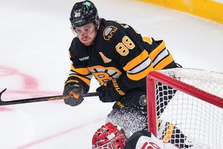 NHL | Velký český večer v NHL! Pastrňák i Nečas dosáhli na magickou metu - Sport.cz