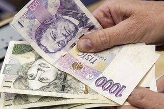 České domácnosti šetřit umí. A v krizi jim to jde ještě lépe - Seznam Zprávy