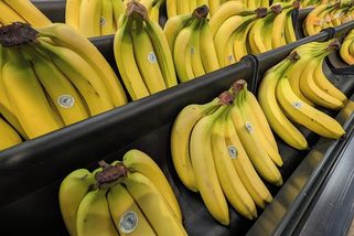 Supermarket v Británii rozdával banány zdarma. Omylem objednal 380 krabic místo 380 kilo - Novinky