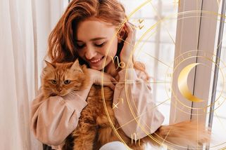 Vás osudový mazlíček vám změní život! Najděte toho svého jediného podle horoskopu