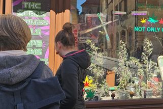 Kvůli „umělé marihuaně“ v Praze rychle přibývá výjezdů sanitek. Nejmladším pacientům je 11 let - Novinky