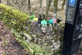 Hadriánův val znečišťují pejskaři. Do spár strkají sáčky s exkrementy - Novinky