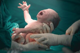 Proč klesá porodnost? O bydlení a školky zas tolik nejde - Seznam Zprávy