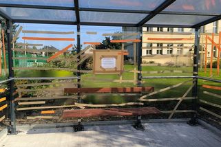 Prosklená zastávka v Hradci Králové se stala smrtící pastí pro desítky ptáků - Novinky