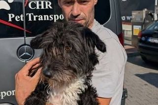 Jak jsme si adoptovali psa z Rumunska aneb „dvojčata“ jsou zase spolu - Médium.cz