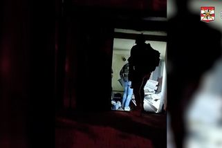 Zásahovka si šla v Brně pro drogového dealera, za dveřmi na ni čekal rotvajler - Novinky