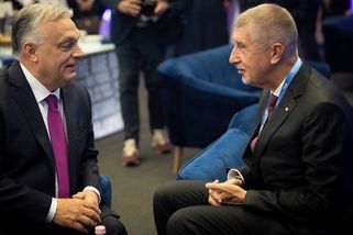 Babiš podpořil Orbána, volba stability je podle něj důležitější než kdy dřív - Seznam Zprávy