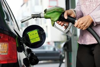 Některé čerpací stanice už cenový strop porušily - Novinky