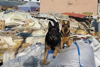 Více obviněných, vyšší tresty. Policie přitvrdila v kauze odpadu z Německa - Seznam Zprávy