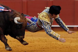 Španělského toreadora srazil býk, videozáznam je děsivý - Novinky