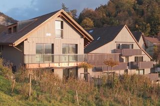 Britka podstoupí čtyři roky po smrti jediného syna eutanázii - Novinky