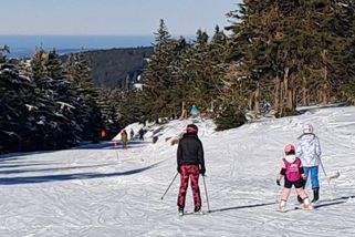 Kraj legalizoval zplundrování lesa u Klínovce, za které padly dva odsuzující rozsudky - Novinky