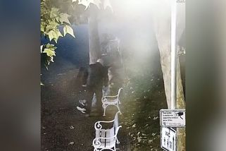 Šéf strážníků ve Stříbře praštil cizince a hrozil mu obuškem. Nejde o trestný čin, řekl soud - Novinky