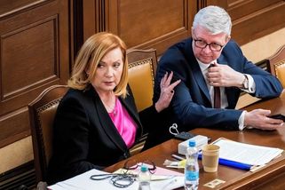 Sněmovna přehlasovala Senát a schválila vládě zákon o regulaci cen paliv - Novinky