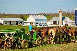 Vědci z brněnského CEITECu popsali příčinu vzácného genetického onemocnění u amerických amišů