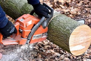 Místo stromů parkoviště. Děti vozíme až před školu, obezitě navzdory - Médium.cz