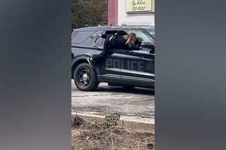 Svědek natočil útěk z policejního auta v USA. Žena se spoutanýma rukama za zády se protáhla okénkem - Novinky