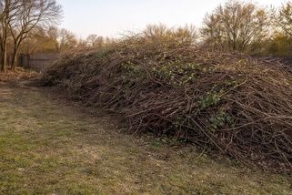 Na obecním úřadě se dozvěděli o legálním způsobu pálení větví. Nikde jinde jsme na to nenarazili, říká majitel