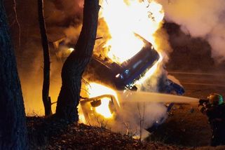 Tragická srážka na Plzeňsku: Řidič po čelním střetu s kamionem v autě uhořel - Novinky