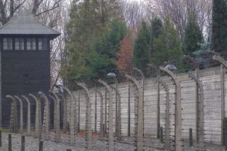 David a Helen se v Osvětimi domluvili, že se po válce sejdou. Trvalo 72 let, než se jim to podařilo - Médium.cz