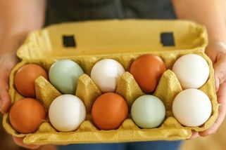 Proč vždycky zkontrolovat krabičku vajec před nákupem? Problém nejsou jen prasklé kusy