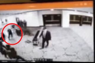 Střelce z galavečeře obvinili z pokusu o atentát na Trumpa - Novinky