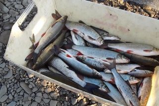 Kauza Bečva: Ministerstvo životního prostředí potv...