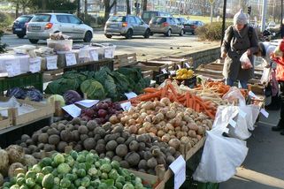 Brambory a vejce v březnu meziměsíčně zdražily, levnější je mléko. Statistici zveřejnili ceny výrobců - Novinky