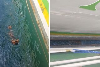 Teenageři na Filipínách skáčou mezi trajekty a těsně unikají momentu, kdy by je plavidla mohla rozdrtit - Novinky