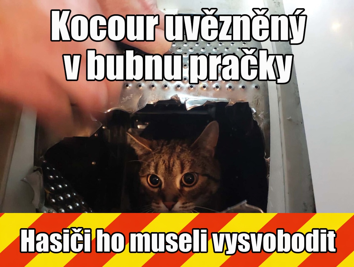 Obrázek u příspěvku číslo 1