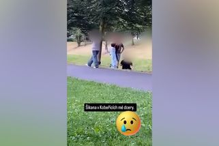 Dětská bezcitnost, která bere dech. Na sítích koluje video šikany další dvanáctileté školačky - Novinky