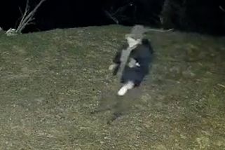 Tajemné video z Litoměřicka. Muže s kanystrem pod palbou světelného alarmu hledá policie | Novinky.cz: Krimi