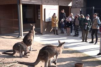 Ukrajinští uprchlíci obdivují pražskou zoo. Vstupné je za symbolickou korunu - Novinky