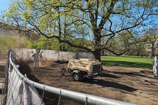 Zelené plochy Karlova náměstí hnědnou, technologie zasahují do kořenů stromů v Praze 2 - Novinky