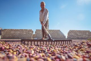 Válka v Íránu zvýšila ceny pistácií na nejvyšší hodnotu za osm let - Seznam Zprávy