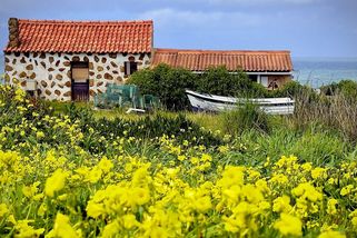 Kam vyrazit na dovolenou v roce 2026 - Novinky