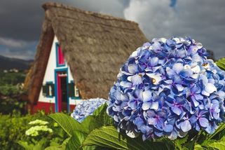 Kam v zimě za teplem do šesti hodin letadlem - Novinky