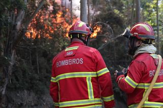 „Všude je popel a cítit kouř.“ Lesní požáry na Madeiře postihly i Čechy - Seznam Zprávy