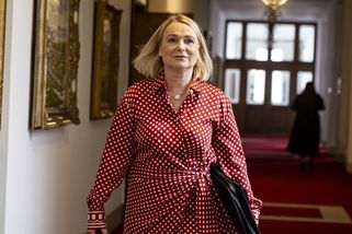 Licence komerčních dodávek vojenského materiálu dosáhly 117 miliard korun - Novinky