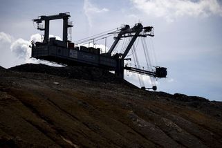 FOTO: Příroda si bere své území na Mostecku zpět - Novinky