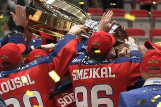 Podnikatel Dědek chce práva extraligy. Nabízí obří sumu na 15 let - Seznam Zprávy