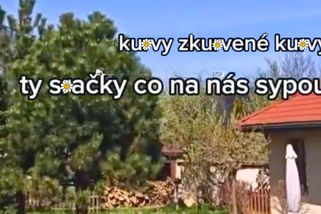 Starší paní se rozčilila na svět a natočila video plné peprných výrazů v neskutečné kadenci | Události Luďka Staňka