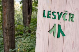 V dozorčí radě státních lesů skončilo šest členů, přibyl do ní poslanec ANO - Seznam Zprávy