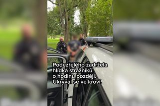 Její křik na tísňové lince náhle utichl. Černý pasažér v Pardubicích brutálně napadl revizorku - Novinky