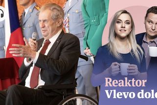 Vlevo dole: Zeman se probudil z hibernace a zkouší rozklížit vládu - Seznam Zprávy