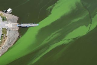 Klimatická změna, nebo odpadní roury? U Lipna řeší, co zhoršuje kvalitu vody